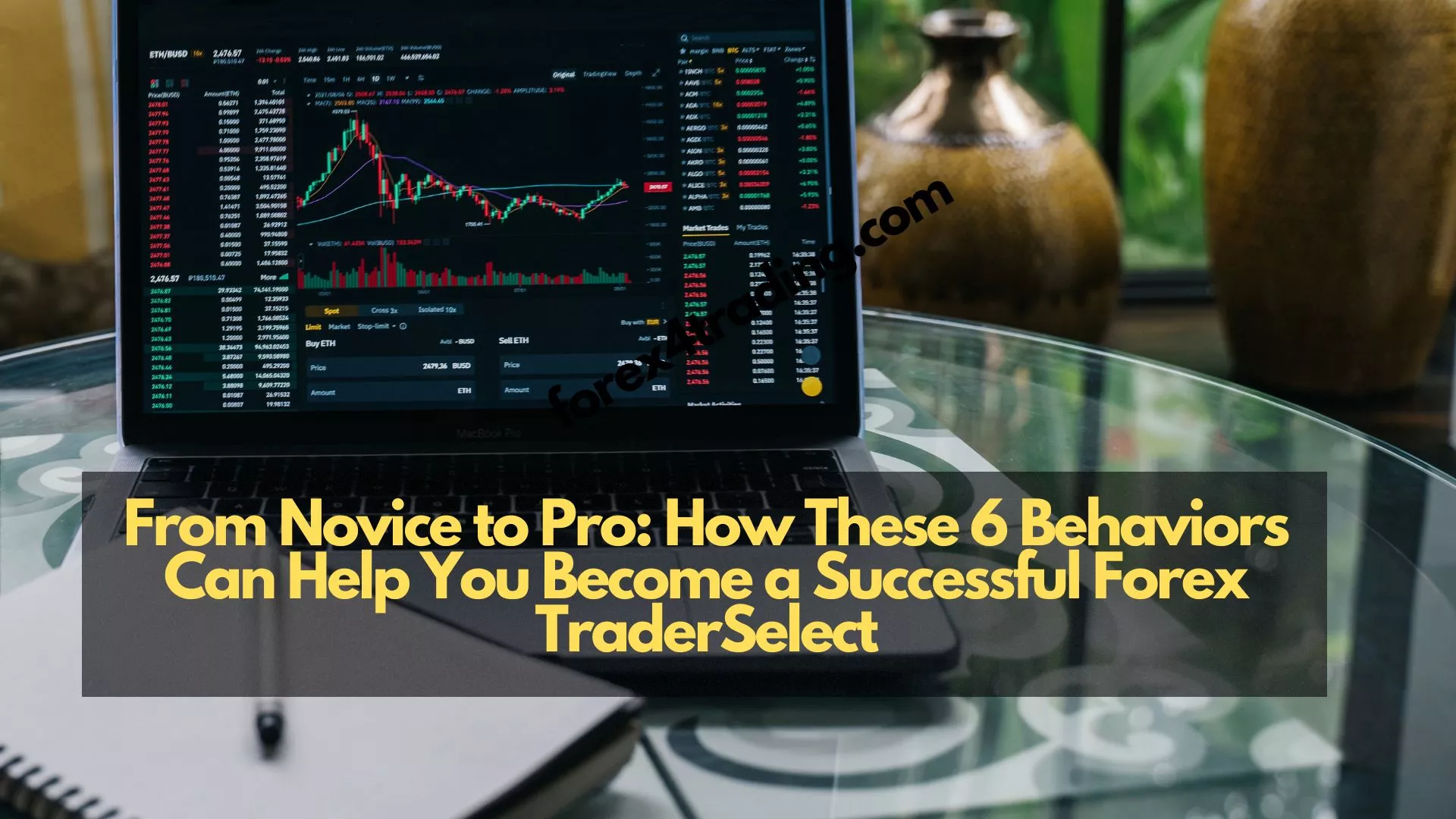 Read more about the article From Novice to Pro: How These 6 Behaviors Can Help You Become a Successful Forex TraderSelect